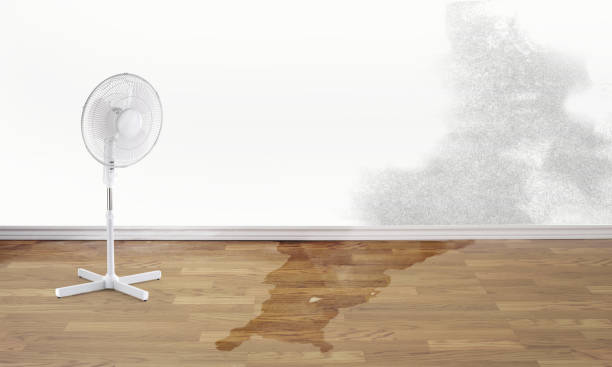 Best 24/7 water damage repair  in Edwards Af, CA