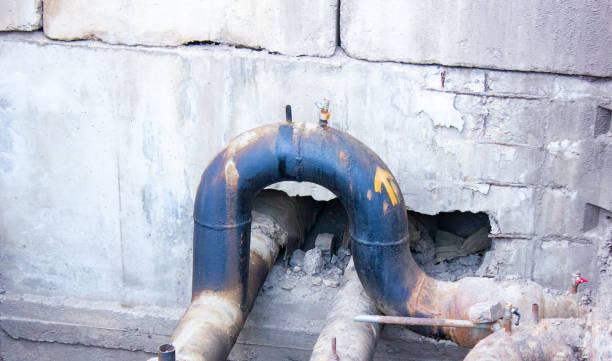 Best Professional water damage repair  in Edwards Af, CA