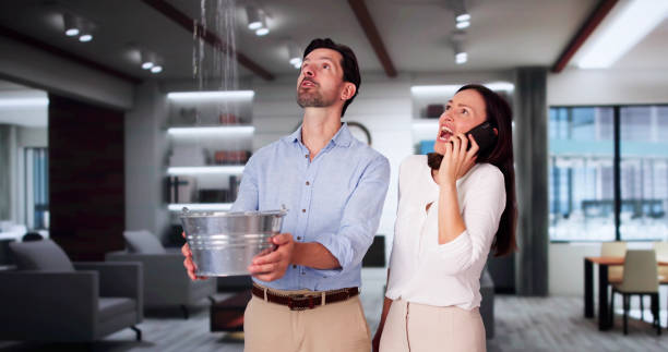 Best Water damage contractors near me  in Edwards Af, CA