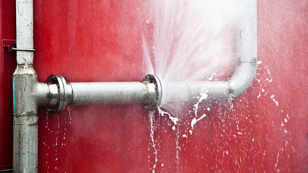 Best Local water damage restoration  in Edwards Af, CA